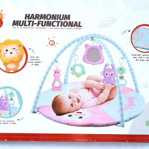 Harmonium Multifunctional – Pink
